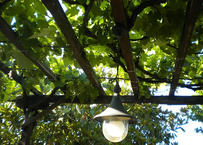 Marelmy בית נופש *