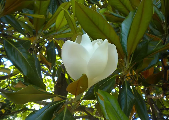 בית נופש Marelmy *