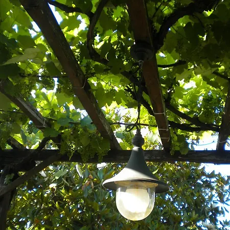 Marelmy Σπίτι διακοπών *