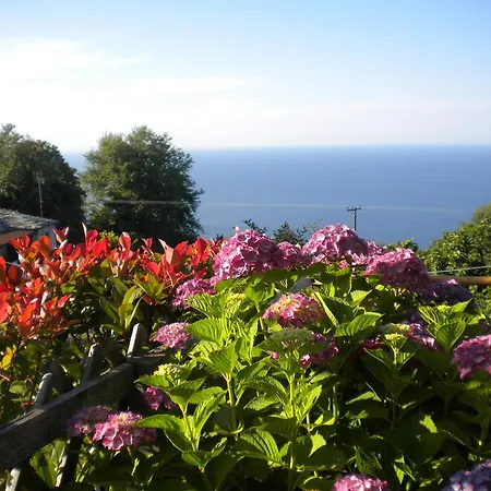 Marelmy Σπίτι διακοπών