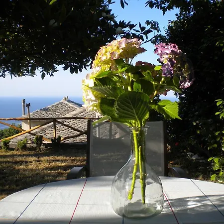 Marelmy בית נופש