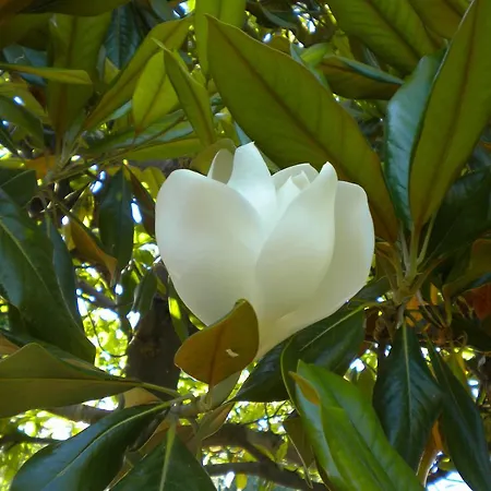 Σπίτι διακοπών Marelmy *