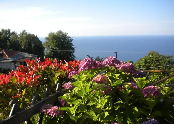 Marelmy Дом отдыха